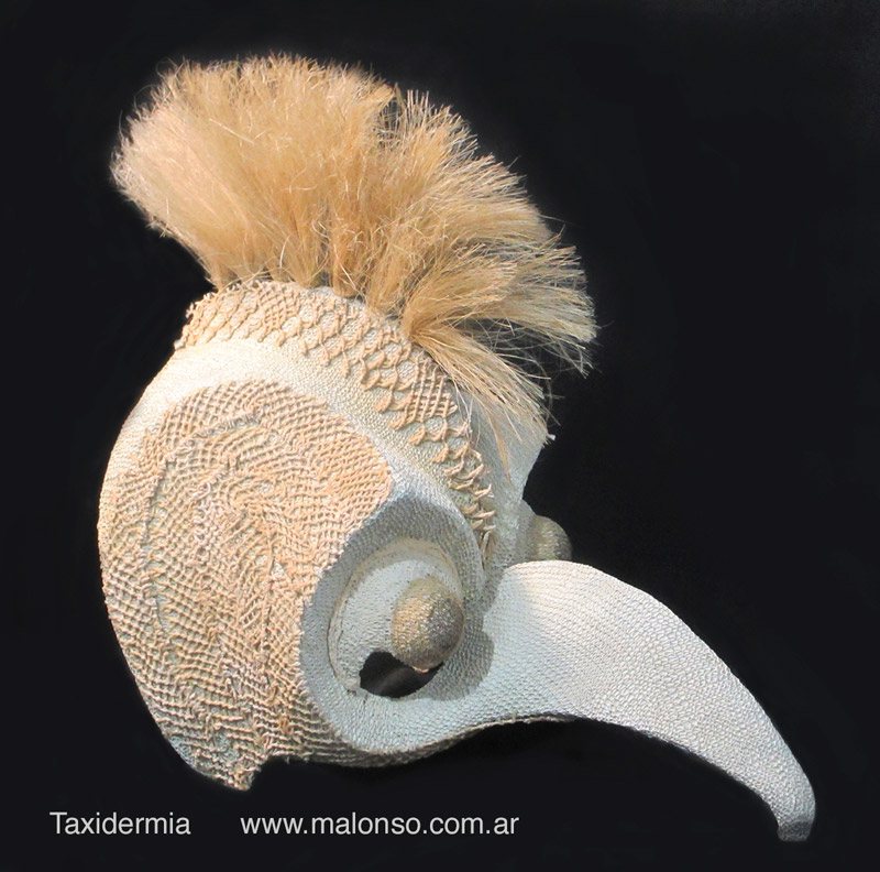 Taxidermia